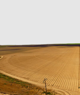 Residential Land in 